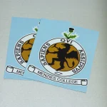 Vinyl Cut Lettering￼0005